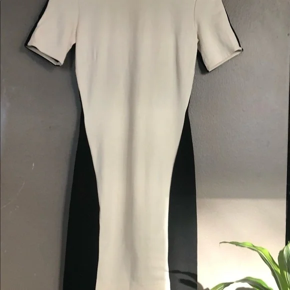 ⭐️HP⭐️ Aritzia  Bodycon dress- small - Picture 4 of 12
